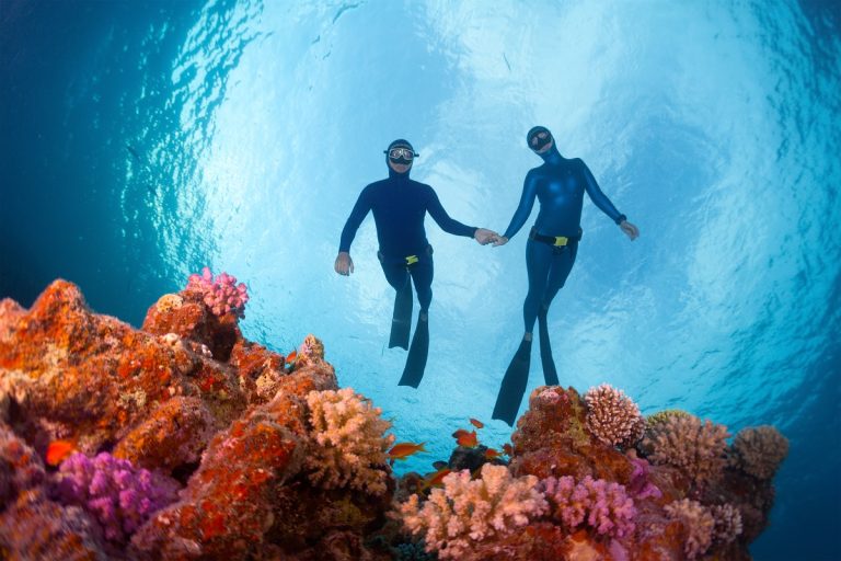 freedivers gliding over the reef